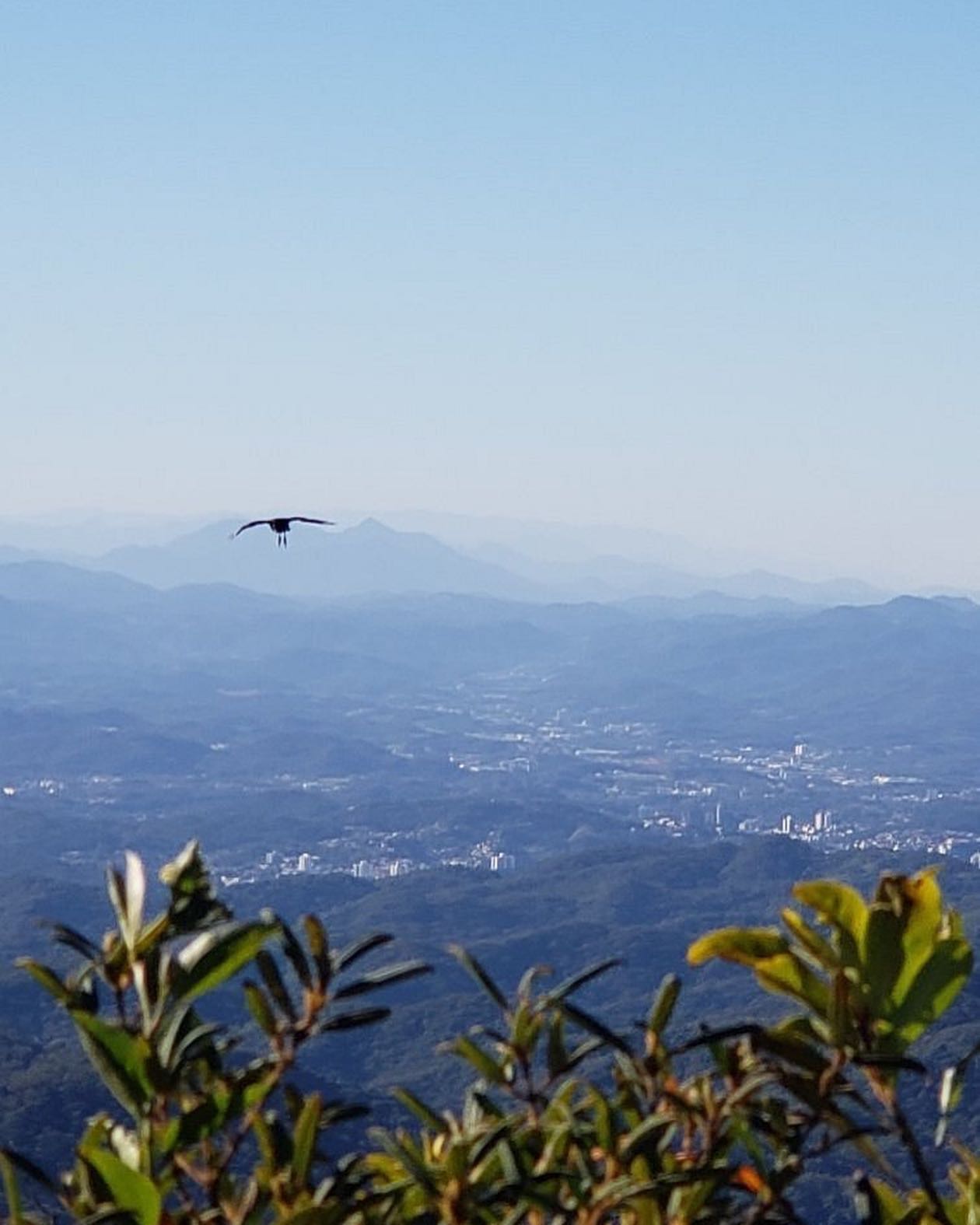 Gotoday | Parque Ecológico Spitzkopf