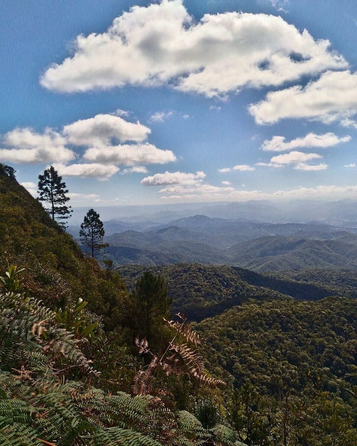 Gotoday | Parque Ecológico Spitzkopf